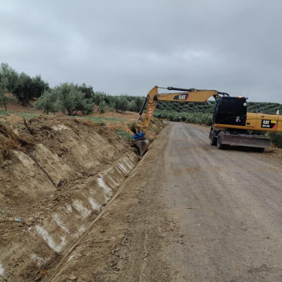IMG-20251120-WA0045