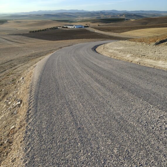IMG-20251120-WA0056